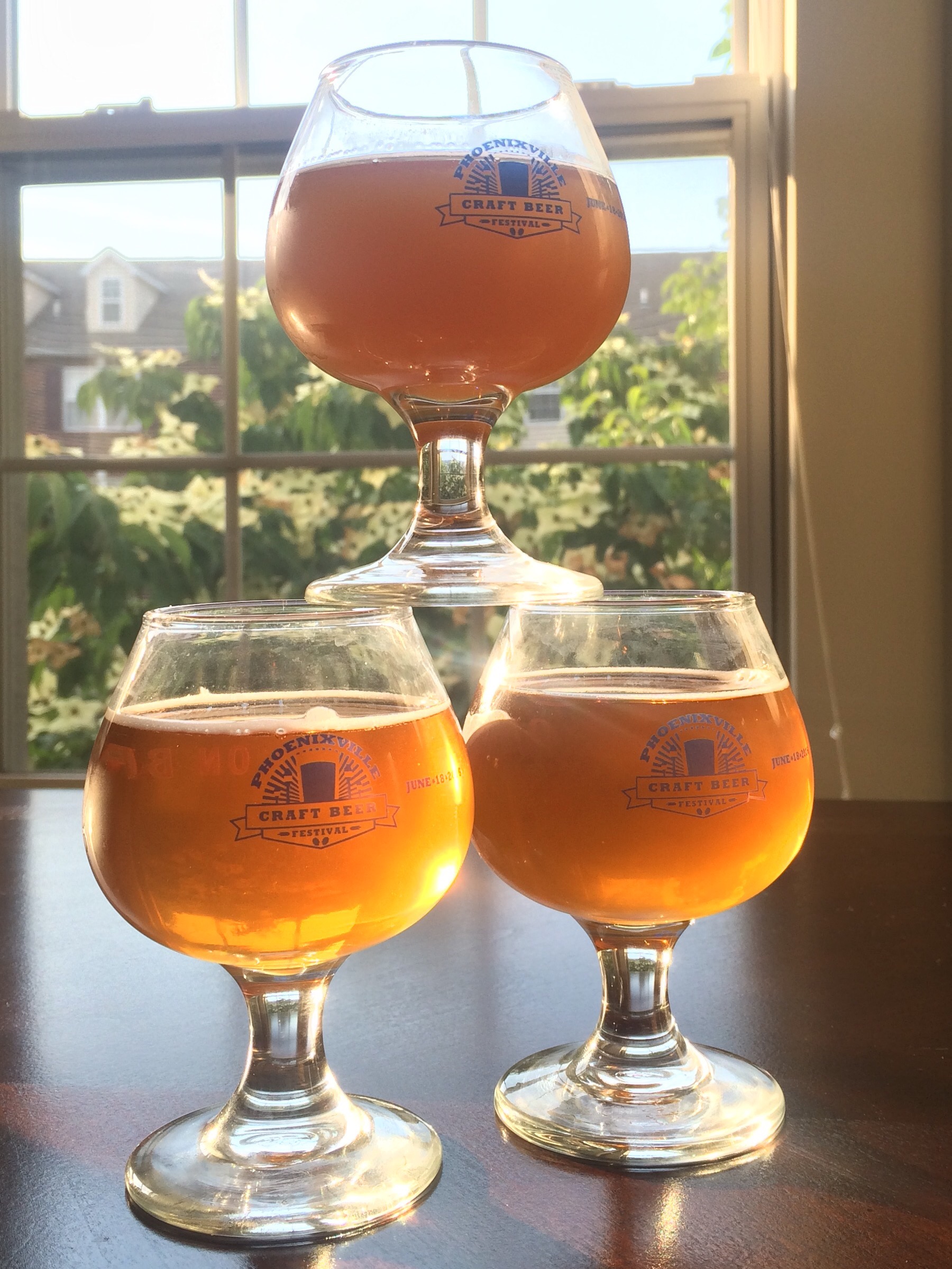 Phoenixville Craft Beer Festival 2016