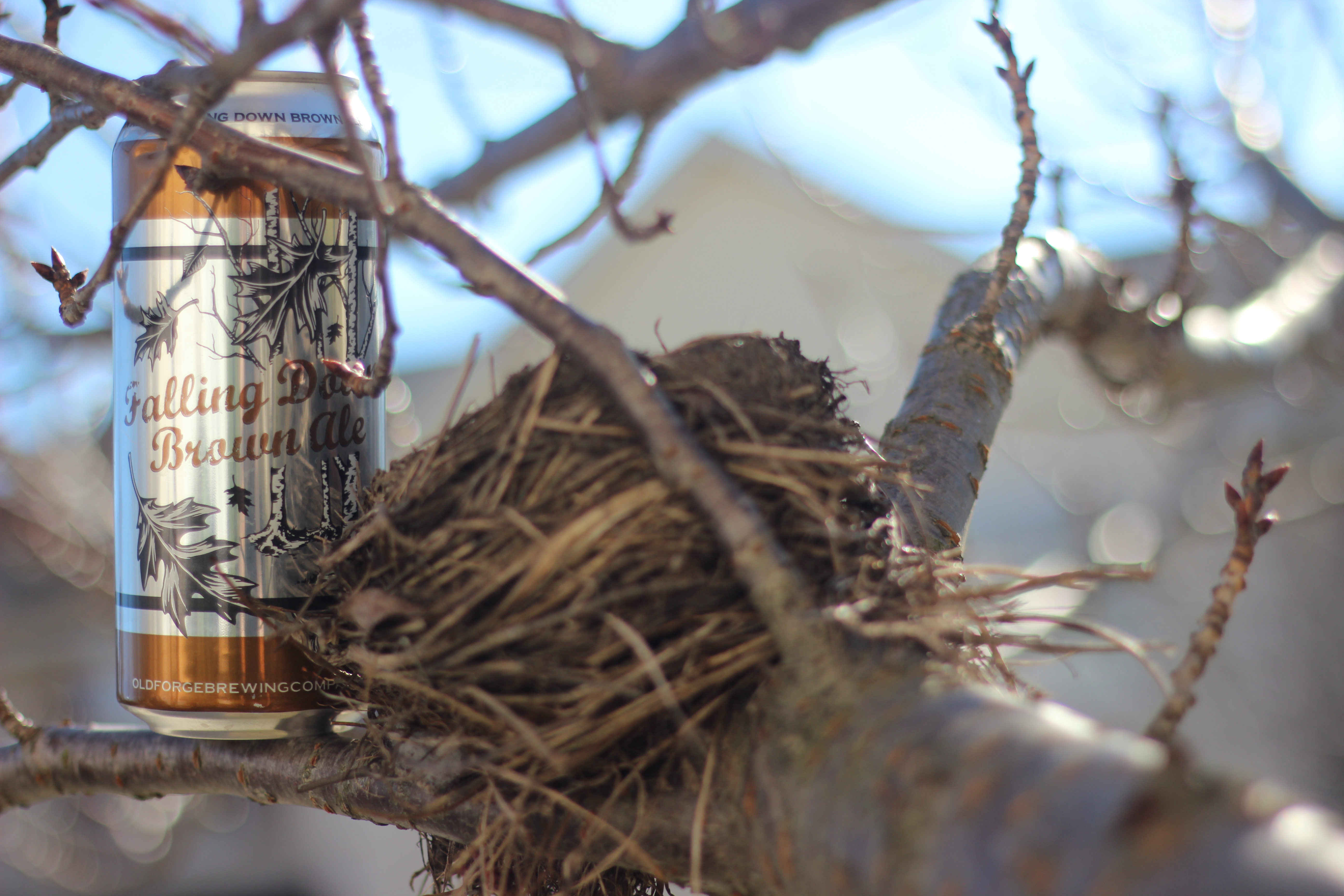 Falling Down Brown Ale from Old Forge Brewing Co.