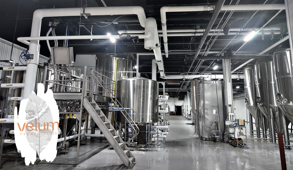 Velum Fermentation Opens 30 Barrel Brewery In The South Side Flats of Pittsburgh