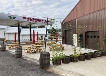 Sandfly Brewing Set To Celebrate Groundhogs Day The Only Way Punxsutawney’s Sole Brewery Can
