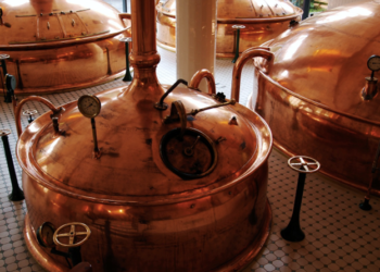 How to Start a Brewery Even if You Don’t Have Any Upfront Capital: Four Tips for Success