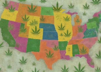Cannabis Laws in the United States