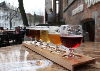 Brussels’ Beer Tasting Experience: Craft Breweries and Trappist Delights