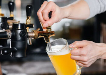 Colleges Where Students Can Learn to Brew: Schools with On-Campus Microbreweries