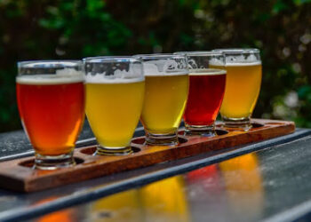 PA Weekenders: Your Guide to Exploring the Unexpected While Sipping Local Brews