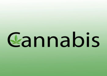 Must-See Cannabis Trends in Illinois