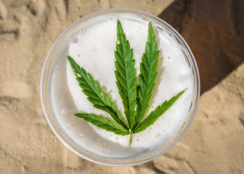 The Cannabis Wellness Toolkit for Beer Lovers: 5 Essential Practices for Holistic Health