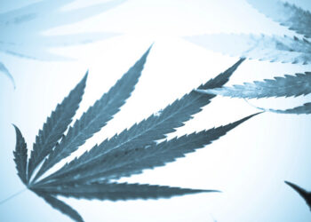 Best Dispensaries in New Jersey Near Philadelphia: A Guide for Beer Enthusiasts