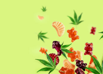 Best THCP Gummies of 2026: Strong, Smooth Picks for Beer Lovers’ Chill Sessions