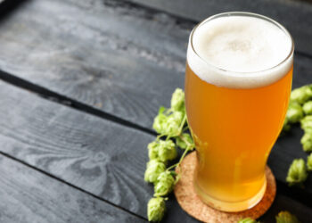Why a Great IPA Tasting Night Pairs Surprisingly Well with a Quiet Card Game